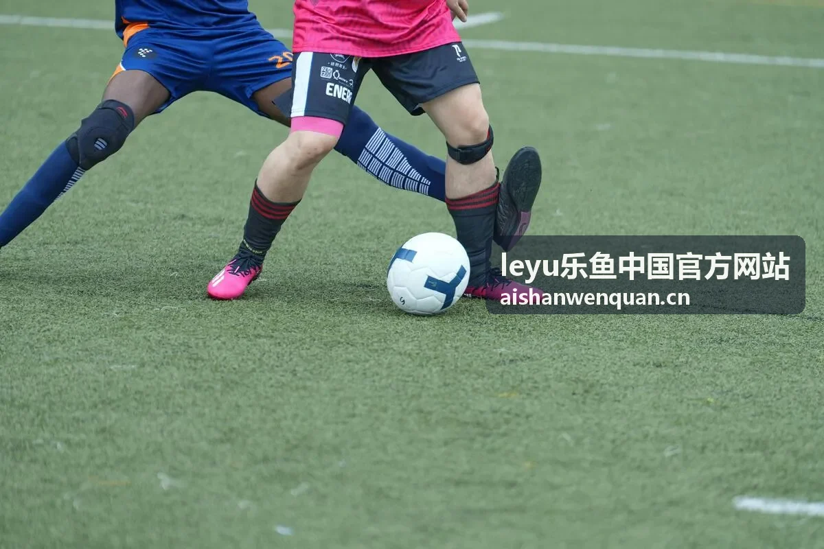 用户获取leyu乐鱼中国官方网站在线支持服务